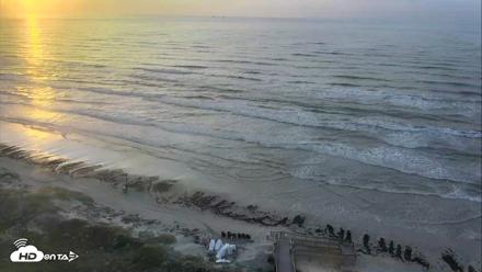 Port Aransas Beach - Sea Gull Condos Live Webcam - May 28, 2026, 6:54am CDT