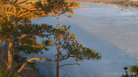 Delaware Botanic Gardens Eagles Live Cams - Feb 10, 2026, 5:01pm EST