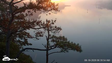 Delaware Botanic Gardens Eagles Live Cams - Aug 19, 2026, 6:31am EDT
