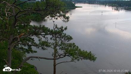 Delaware Botanic Gardens Eagles Live Cams - Jul 6, 2026, 10:41am EDT