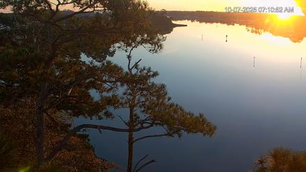 Delaware Botanic Gardens Eagles Live Cams - Oct 7, 2025, 7:11am EDT