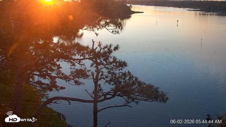 Delaware Botanic Gardens Eagles Live Cams - Jun 2, 2026, 5:45am EDT