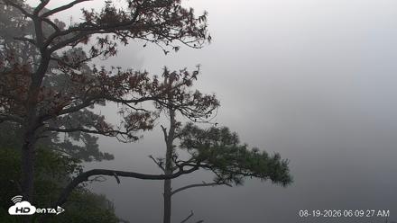 Delaware Botanic Gardens Eagles Live Cams - Aug 19, 2026, 6:09am EDT