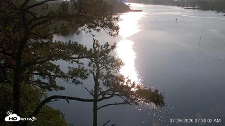 Delaware Botanic Gardens Eagles Live Cams - Jul 29, 2026, 7:30am EDT