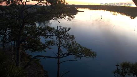 Delaware Botanic Gardens Eagles Live Cams - Jan 13, 2026, 6:56am EST