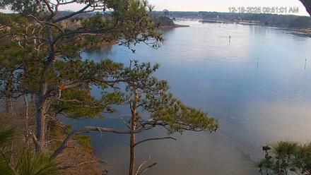 Delaware Botanic Gardens Eagles Live Cams - Dec 18, 2025, 9:51am EST