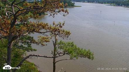 Delaware Botanic Gardens Eagles Live Cams - Aug 6, 2026, 11:42am EDT