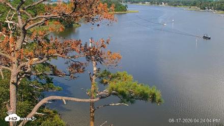 Delaware Botanic Gardens Eagles Live Cams - Aug 17, 2026, 4:24pm EDT