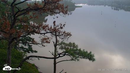 Delaware Botanic Gardens Eagles Live Cams - Aug 18, 2026, 7:38am EDT