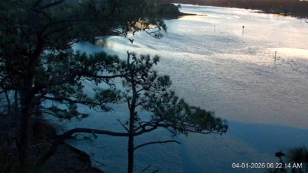 Delaware Botanic Gardens Eagles Live Cams - Apr 1, 2026, 6:22am EDT