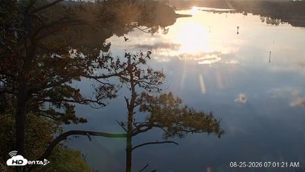 Delaware Botanic Gardens Eagles Live Cams - Aug 25, 2026, 7:02am EDT