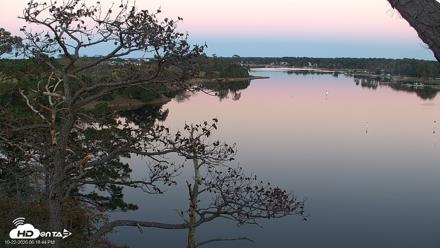 Delaware Botanic Gardens Eagles Live Cams - Oct 22, 2026, 6:19pm EDT