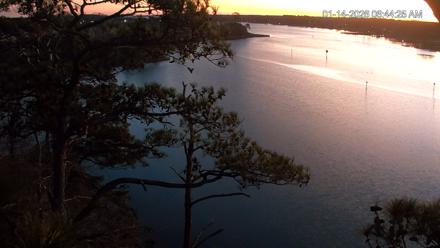 Delaware Botanic Gardens Eagles Live Cams - Jan 14, 2026, 6:45am EST