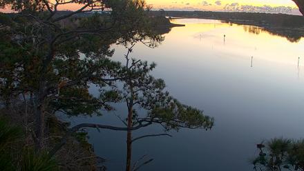 Delaware Botanic Gardens Eagles Live Cams - Nov 14, 2025, 6:43am EST