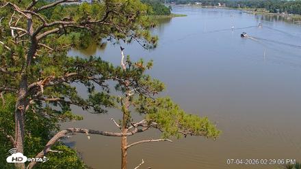 Delaware Botanic Gardens Eagles Live Cams - Jul 4, 2026, 2:30pm EDT