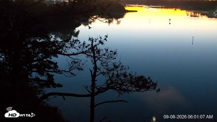 Delaware Botanic Gardens Eagles Live Cams - Sep 8, 2026, 6:02am EDT