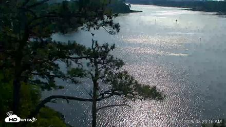 Delaware Botanic Gardens Eagles Live Cams - Jun 22, 2026, 8:24am EDT