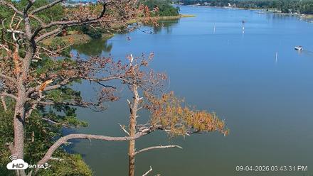 Delaware Botanic Gardens Eagles Live Cams - Sep 4, 2026, 3:44pm EDT