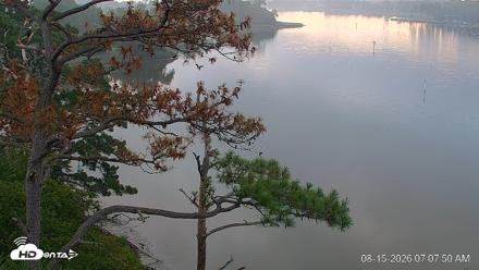 Delaware Botanic Gardens Eagles Live Cams - Aug 15, 2026, 7:08am EDT