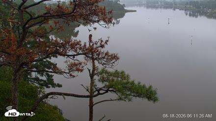 Delaware Botanic Gardens Eagles Live Cams - Aug 18, 2026, 6:12am EDT