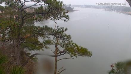 Delaware Botanic Gardens Eagles Live Cams - Dec 2, 2025, 8:27am EST