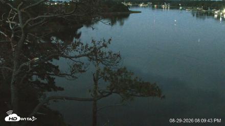 Delaware Botanic Gardens Eagles Live Cams - Aug 29, 2026, 8:10pm EDT