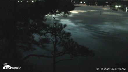 Delaware Botanic Gardens Eagles Live Cams - Apr 11, 2026, 5:44am EDT