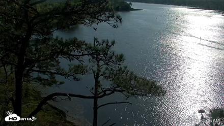 Delaware Botanic Gardens Eagles Live Cams - Apr 22, 2026, 8:31am EDT