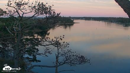 Delaware Botanic Gardens Eagles Live Cams - Oct 21, 2026, 6:12pm EDT