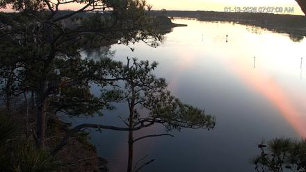 Delaware Botanic Gardens Eagles Live Cams - Jan 13, 2026, 7:07am EST