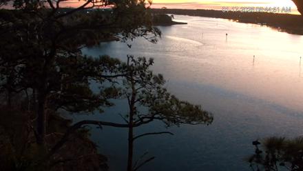 Delaware Botanic Gardens Eagles Live Cams - Jan 17, 2026, 6:45am EST