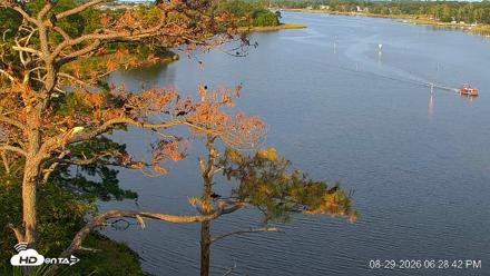 Delaware Botanic Gardens Eagles Live Cams - Aug 29, 2026, 6:29pm EDT