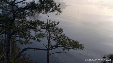 Delaware Botanic Gardens Eagles Live Cams - Feb 27, 2026, 7:23am EST