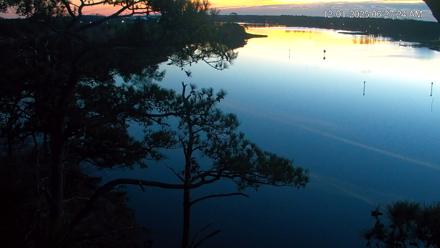 Delaware Botanic Gardens Eagles Live Cams - Dec 1, 2025, 6:28am EST