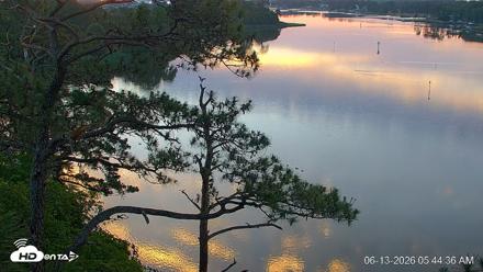 Delaware Botanic Gardens Eagles Live Cams - Jun 13, 2026, 5:45am EDT