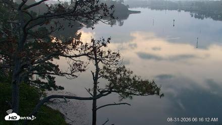 Delaware Botanic Gardens Eagles Live Cams - Aug 31, 2026, 6:16am EDT