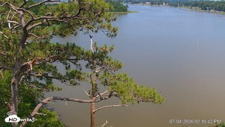Delaware Botanic Gardens Eagles Live Cams - Jul 4, 2026, 2:11pm EDT