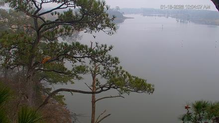 Delaware Botanic Gardens Eagles Live Cams - Jan 18, 2026, 10:05am EST