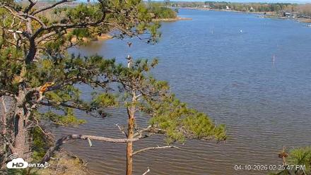 Delaware Botanic Gardens Eagles Live Cams - Apr 10, 2026, 2:26pm EDT