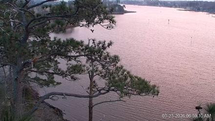 Delaware Botanic Gardens Eagles Live Cams - Mar 23, 2026, 6:59am EDT