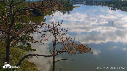 Delaware Botanic Gardens Eagles Live Cams - Sep 7, 2026, 9:50am EDT