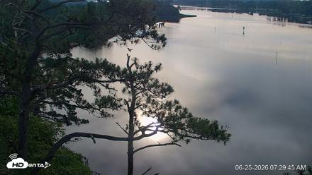Delaware Botanic Gardens Eagles Live Cams - Jun 25, 2026, 7:30am EDT