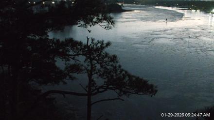 Delaware Botanic Gardens Eagles Live Cams - Jan 29, 2026, 6:25am EST