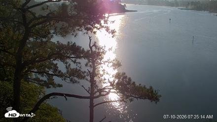 Delaware Botanic Gardens Eagles Live Cams - Jul 10, 2026, 7:26am EDT