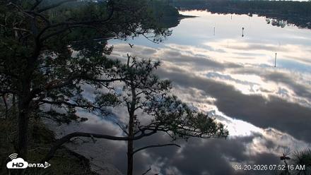 Delaware Botanic Gardens Eagles Live Cams - Apr 20, 2026, 7:53am EDT