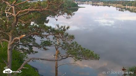 Delaware Botanic Gardens Eagles Live Cams - May 17, 2026, 7:53pm EDT