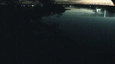 Delaware Botanic Gardens Eagles Live Cams - Dec 20, 2025, 6:11am EST