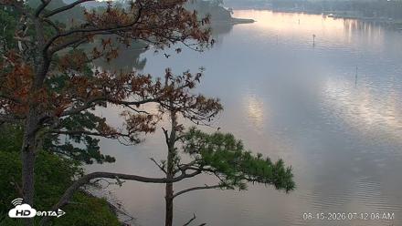 Delaware Botanic Gardens Eagles Live Cams - Aug 15, 2026, 7:13am EDT