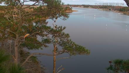 Delaware Botanic Gardens Eagles Live Cams - Nov 17, 2025, 5:02pm EST