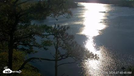 Delaware Botanic Gardens Eagles Live Cams - May 3, 2026, 7:41am EDT